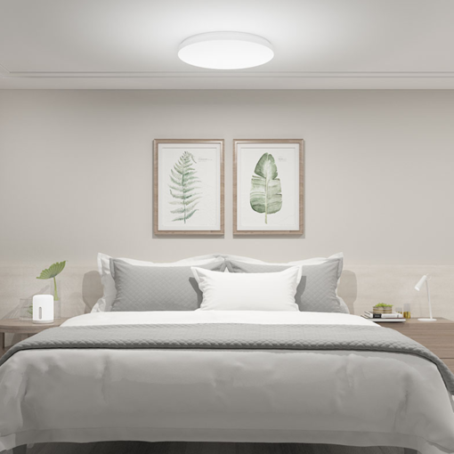 Mi Smart Led Ceiling Light