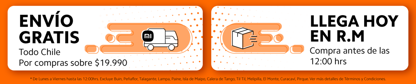 promesa de envio