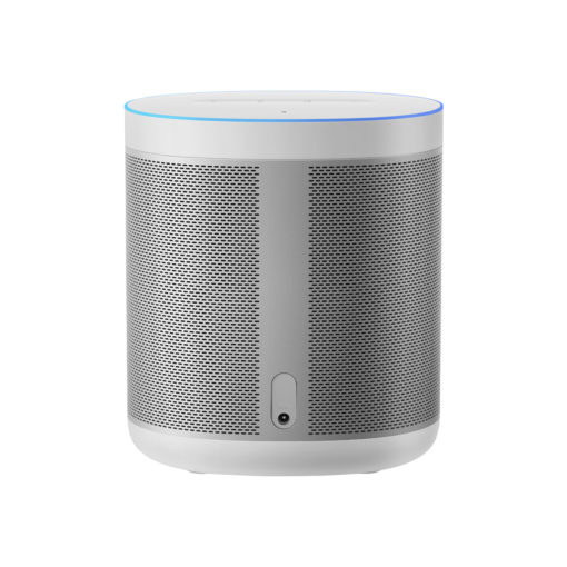 Mi Smart Speaker